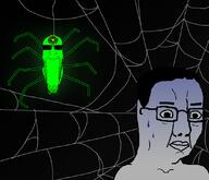 2soyjaks bug calm closed_mouth glasses glowing glownigger scared smile spider stretched_chin stubble subvariant:longplier sunglasses transparent variant:chudjak variant:markiplier_soyjak web worried // 824x709 // 708.0KB