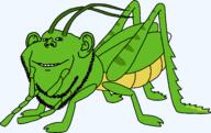 animal antenna bug cricket ear full_body jiminy pinocchio series:animaljaks smile soyjak stubble variant:impish_soyak_ears // 1610x1011 // 50.8KB