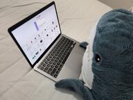 animal blahaj catalog computer fish ikea irl laptop multiple_soyjaks plush shark soyjak soyjak_party subvariant:chuddy subvariant:commiepedotroon subvariant:science_lover text toy variant:a24_slowburn_soyjak variant:chudjak variant:cobson variant:feraljak variant:gapejak variant:kuzjak variant:markiplier_soyjak variant:soyak // 4000x3000 // 2.5MB