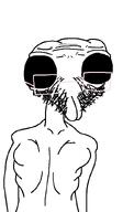 alien beard bug glasses grey_alien insects variant:venujak zeta_reticula // 486x832 // 28.2KB
