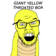 angry animal boa giant_yellow_throated_boa glasses open_mouth series:animaljaks snake soyjak stubble text variant:feraljak yellow // 1500x1500 // 161.9KB