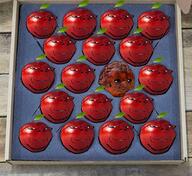 apple glasses grin irl leaf multiple_soyjaks rotten sad soyjak stubble subvariant:wholesome_soyjak variant:gapejak wojak // 2238x2053 // 5.3MB