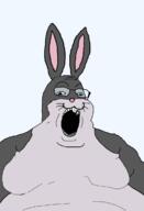 big_chungus bugs_bunny fat glasses looney_tunes meme open_mouth rabbit soyjak stubble variant:gapejak // 828x1217 // 228.4KB