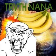 banana open_mouth stubble truth_nuke truthnuke variant:monkeyjak // 500x500 // 74.8KB