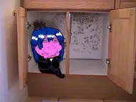 blue_hair cabinet full_body glasses grin hair irl_background mist mold nose pink_skin smile stubble subvariant:massjak tuxedo variant:gapejak // 400x300 // 52.1KB