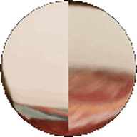 2019 3dgifmaker animated beard closed_mouth clothes ext=gif fat fat_duel glasses irl open_mouth red_tshirt schizo soyboy subvariant:fatjak_irl tshirt variant:fatjak // 250x250 // 35.7KB