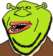 amerimutt big_nose clothes dreamworks ear green_skin ogre ogre_ears open_mouth shrek soyjak stubble subvariant:impish_amerimutt variant:impish_soyak_ears // 598x628 // 10.9KB
