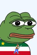 amphibian bald canada canadian closed_mouth clothes flag flag:patriote_le_vieux_de_37 french_canadian frog green_skin gun hat lips looking_at_you nas nas:pepe pepe pepe_the_frog pipe politics quebec quebec_independence quebecois smoking star transparent_background tshirt // 1344x1973 // 94.0KB