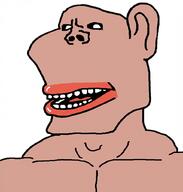 amerimutt muscles muscular_male united_states // 975x1024 // 203.2KB