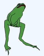 amphibian animal frog looking_up meta:not_oc nas:pepe pepe pepe_the_frog sit sitting transparent_background // 432x540 // 6.6KB