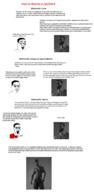 angry arm bloodshot_eyes clothes gigachad glasses hair hand nazism open_mouth p_blm pointing pol_(4chan) soyjak soyjak_comic swastika tshirt vaccine variant:chudjak wordswordswords // 1472x3000 // 407.4KB