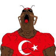 antenna aryan flag:turkiye muscles turkiye turkroach variant:phillip // 1058x1044 // 153.6KB