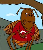 antenna arab azerbaijan brown_skin bug closed_mouth clothes crescent_and_star crying drawn_background india judaism pakistan roach sad soyjak turkiye turkroach variant:gapejak // 383x443 // 29.9KB