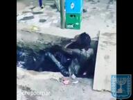 21st_century_humor happy_merchant jaks meta:i_will_tag_this_later nas:happy_jewish nas:merchant nigger pajeet sewer shitskin subvariant:jartycuck trend:jartycuck variant:bernd variant:chudjak variant:impish_soyak_ears // 640x480, 12.3s // 783.6KB