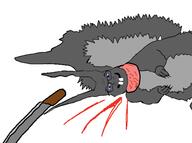 animal animal_abuse arm beheading blood blood_from_neck blood_spray blue_eyes buck_teeth dead_nigger_baby death decapitation ear exposed_muscle eyes_like_the_o-o-cean full_body glasses gore grey_skin grey_squirrel hand knife leg open_mouth severed_head smile soyjak squirrel subvariant:feralsquirrel tail tsd variant:feraljak // 970x724 // 253.7KB