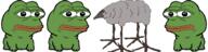 frog gathering pepe soycreature // 2319x575 // 184.6KB