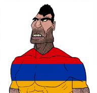 armenia flag:armenia hairy subvariant:mexibrute // 1132x1080 // 212.6KB
