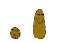 2soyjaks brown_skin closed_mouth frown glasses nut plants_vs_zombies smile soyjak stubble subvariant:wholesome_soyjak variant:cobson variant:gapejak walnut // 1200x900 // 72.2KB