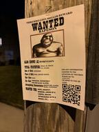 dark irl irl_background lamp ominous operation_reality poster rape real real_life realistic subvariant:hornyson variant:cobson wanted // 4284x5712 // 1.7MB