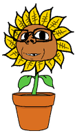1soyjaks baby deformed dirt distorted flower flower_pot glasses leaf petals plant pot smile subvariant:makarov sunflower teeth transparent_background variant:impish_soyak_ears wholesome yellow_petals // 770x1355 // 39.1KB