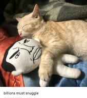 animal billions_must cat chud closed_mouth irl kitten lips plush soyjak subvariant:chudjak_front text variant:chudjak // 1080x1218 // 121.8KB