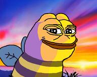 amphibian bee frog nas:pepe pepe_the_frog shaded shadow smile smug sunset wing // 480x382 // 130.9KB amphibian bee frog nas:pepe pepe_the_frog shaded shadow smile smug sunset wing // 480x382 // 130.9KB