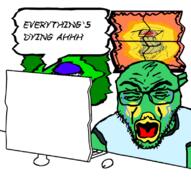 2soyjaks angry bald beak bird bloodshot_eyes brazil clothes computer crying distorted flag flag:brazil green_skin heatwave one_eye open_mouth soyjak speech_bubble sun t-shirt text tshirt variant:feraljak variant:rupturejak waving window yellow_teeth // 797x800 // 272.5KB