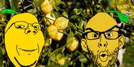 angry food fruit glasses irl_background leaf lemon multiple_soyjaks open_mouth series:fruiterz! smile soyjak stubble subvariant:wholesome_soyjak variant:gapejak variant:nojak yellow_skin // 1600x800 // 1.4MB