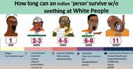 Jeetmaggot angry black_eyes brown_eyes brown_skin cockroach hair hanging holding_object india indian obsessed pajeetle rent_free roach shitjeet tin_foil tinfoil_hat variant:bernd variant:chudjak variant:feraljak variant:soyak // 998x519 // 337.4KB