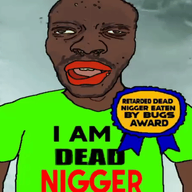 animated award big_lips dark_skin dead flies green_shirt nigger red_lips yellow_eyes // 600x450 // 1.5MB