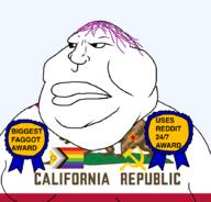 award awards california communism faggot flag:california flag:lgbt_pride_flag purple_hair united_states variant:meximutt // 888x849 // 166.5KB