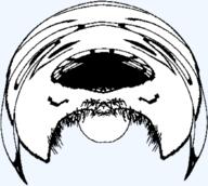 bloated bulbous deformed glasses open_mouth round_head soyjak stubble unintelligible variant:gapejak // 1047x938 // 341.3KB