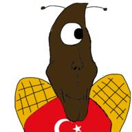 antenna black_skin closed_mouth clothes cockroach euromutt one_eye shitskin subvariant:Eliot subvariant:euroaryan subvariant:euromutt turkiye turkroach variant:markiplier_soyjak variant:unknown wing // 1280x1280 // 353.7KB