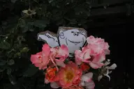 background blossom cardboard double_chin ear flower flowers irl meta:not_oc no_glasses operation_reality plant pushup real smile variant:impish_soyak_ears // 6000x4000 // 2.1MB