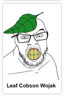 angry beard glasses leaf meta:not_oc subvariant:leaf_cobson_wojak teeth variant:cobson variant:feraljak variant:wojak wojak wojakland yellow_teeth // 253x380 // 46.3KB