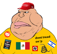 brap capitalism donald_trump dont_tread_on_me israel libertarian maga_hat mexico nazi_germany protect_trans_kids reddit swastika variant:meximutt // 888x849 // 159.2KB