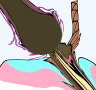 bloodshot_eyes brown_troonjak crying open_mouth rope soyjak suicide tongue transparent_background trend:slopjak variant:bernd // 768x719 // 260.0KB