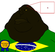 angry award bald black_skin brazil closed_mouth flag flag:brazil nigger obese small_brain subvariant:morbidmutt text variant:meximutt yellow_sclera // 970x925 // 96.2KB