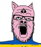 pigger shitskin ukraine // 223x255 // 32.2KB