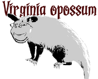 animal beard biology closed_mouth dark hairy night open_mouth opossum subvariant:wholesome_soyjak variant:gapejak virginia // 1058x855 // 35.1KB