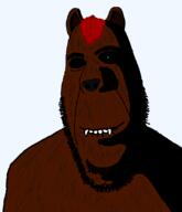 akakabuto animal bear brown_fur closed_mouth ear fur furry ginga_nagareboshi_gin meta:tagme no_glasses red_fur smile soyjak stubble subvariant:hornyson teeth variant:cobson // 948x1100 // 52.5KB