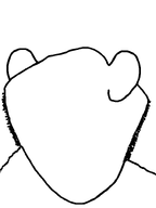 1soyjaks asset bald beard ear looking_away looking_back no_face stubble variant:impish_soyak_ears white_background // 598x800 // 4.3KB