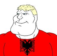 a10_eyes blond flag:albania hair subvariant:mexiaryan variant:meximutt // 886x872 // 31.2KB