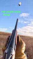 :3 ack bird ext=mp4 greentext gun meta:gore quote shooting shotgun tranny variant:bernd // 720x1280, 3.7s // 3.6MB