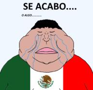 animal bird cactus closed_mouth crying eagle fat flag flag:mexico hair its_over mexico mutt obese or_something plant satoko_houjou(namefag) snake soyjak subvariant:meximutt_front2 text transparent transparent_background variant:meximutt // 1105x1068 // 158.1KB
