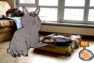 buck_teeth bunny_ears cute fluffy fur grey_skin happy luggage messy_room meta:i_made_this_for_warrior-z open paw puppy_eyes push rabbit sitting smirk snout subvariant:büninjaak suitcase variant:impish_soyak_ears // 612x408 // 357.2KB