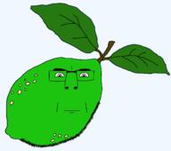 closed_mouth food fruit glasses leaf lime neutral soyjak stubble subvariant:cobson_front variant:cobson // 1607x1421 // 53.0KB