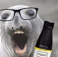 animal glasses mouth_open soy soylent whisker // 429x419 // 58.4KB