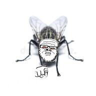 brown_eyes bug closed_mouth fly glasses hand pointing pointing_at_viewer soyjak stubble variant:a24_slowburn_soyjak // 532x532 // 36.9KB