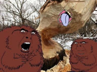 2soyjaks angry animal beaver dead glasses open_mouth series:animaljaks smile teeth tongue tree variant:cobson // 1080x801 // 1.3MB